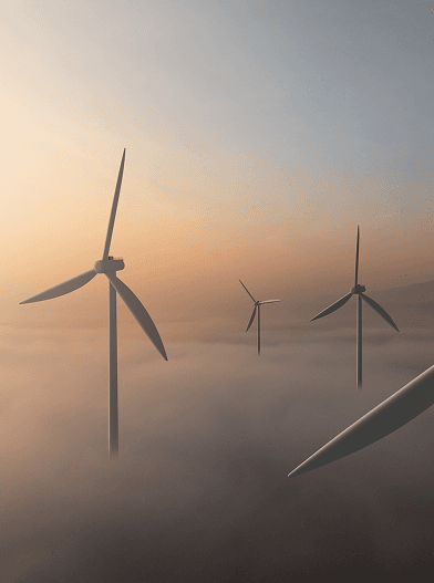 Elegant pasta dish with truffle sauce